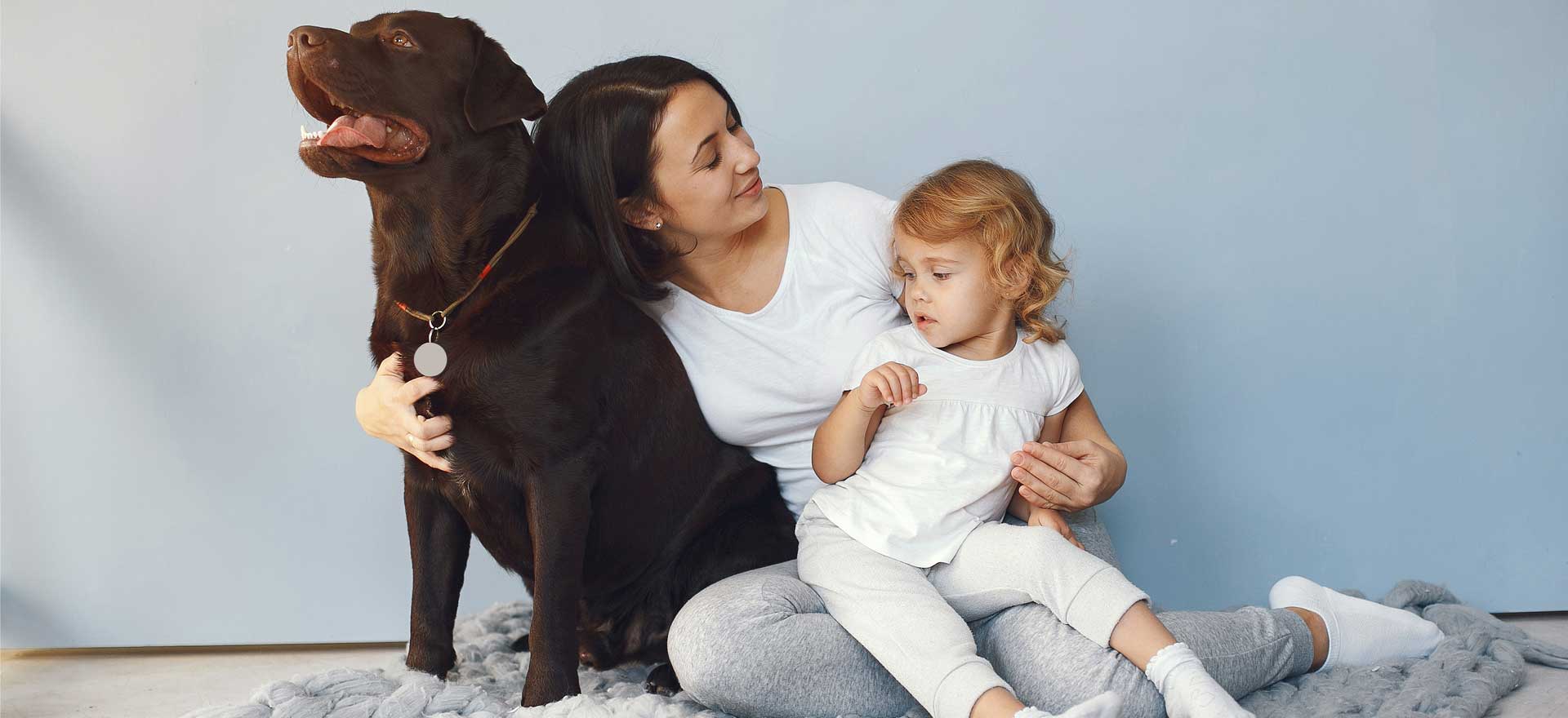 Konkrat-slider-grafik-familie-med-hund-efter Grafik af familie med hund